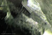 Herderite, green faceted, Brazil.  2.75 carats.