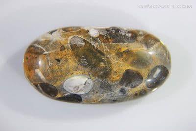 Hertfordshire Pudding Stone cabochon, UK. 190.54 carats.