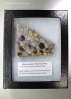 Hertfordshire Pudding Stone slab, UK.  77.28 grams. Display case included.