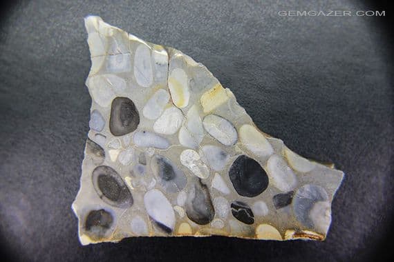 Hertfordshire Pudding Stone slab, UK.  77.28 grams. Display case included.