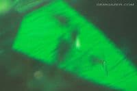 Hydrothermal synthetic Emerald, faceted. 5.67 carats.