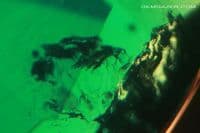 Hydrothermal synthetic Emerald, faceted. 5.67 carats.