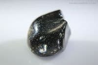 Jet, polished specimen, Whitby, Yorkshire, UK. 25.28 carats.