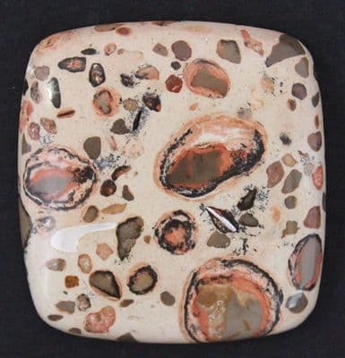 Leopardskin Jasper cabochon,  Mexico.  116.68 carats.