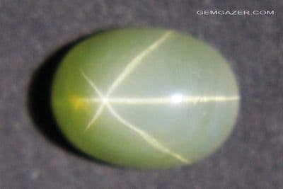 Linde olive green synthetic star Sapphire cabochon. 1.83 carats.