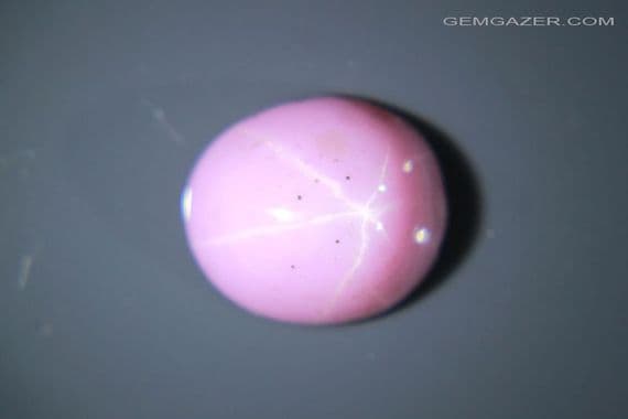 Linde pink synthetic star Sapphire cabochon. 3.26 carats. (Video)