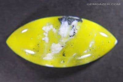 Lizardite cabochon. Norway.  13.67 carats.