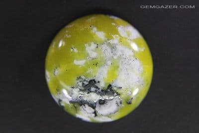 Lizardite cabochon. Norway.  33.57  carats.