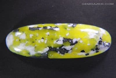 Lizardite cabochon. Norway.  50.09 carats.