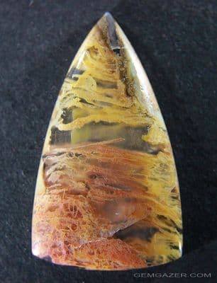 Lucky Strike Moss Agate cabochon. Oregon, USA.  38.86 carats.