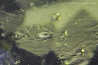 Moldavite, faceted, Czech Republic. 3.09 carats.