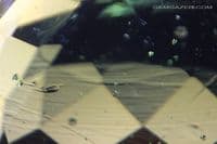 Moldavite, faceted, Czech Republic. 5.22 carats.
