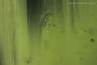 Moldavite, faceted, Czechia. 4.40 carats.