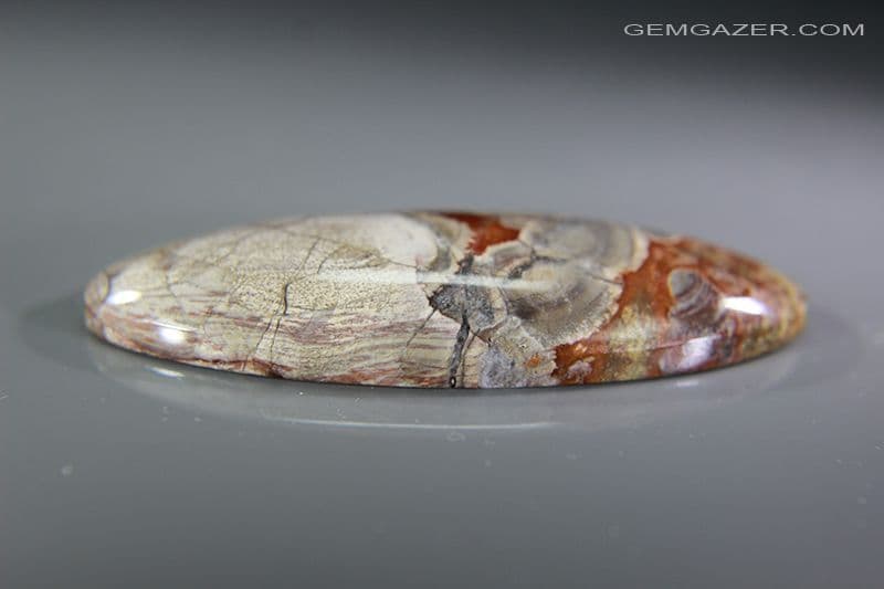 Cabochon Rare De Chésiolite - 12.97 Carats, Forme Ronde, Sans Emballage