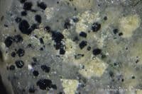 Narsarsukite in Quartz cabochon.  22.96 carats.