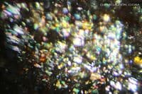 Oligoclase 'Confetti' Sunstone, faceted, Tanzania. 19.55 carats. (Video)
