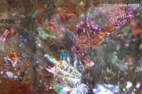 Oligoclase 'Confetti' Sunstone, faceted, Tanzania. 3.25 carats. (Video)
