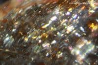 Oligoclase 'Confetti' Sunstone, faceted, Tanzania. 9.80 carats. (Video)