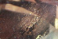 Oligoclase orange-red copper Sunstone with schiller, faceted, Oregon, USA. 4.27 carats. (Video)