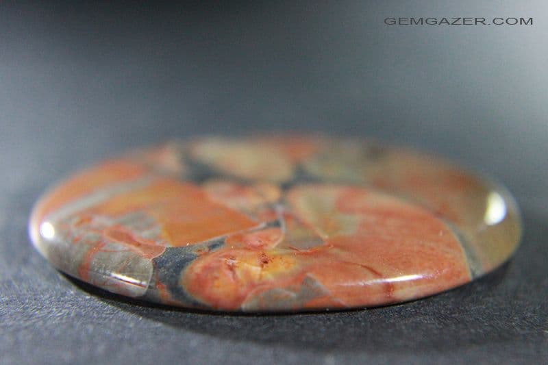 Opal Butte orbicular Jasper Oregon USA 38 59 carats