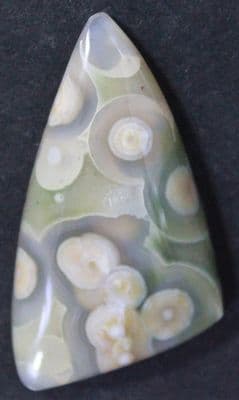 Orbicular Jasper cabochon, Madagascar.  31.56 carats.