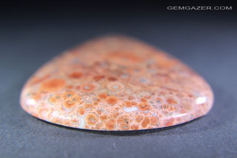 Orbicular Jasper cabochon Madagascar 62 43 carats