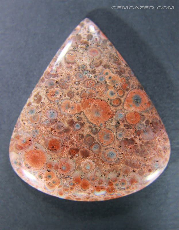 Orbicular Jasper cabochon,
