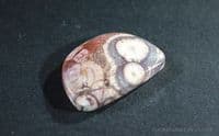 Orbicular Rhyolite cabochon, Australia.  29.35 carats.
