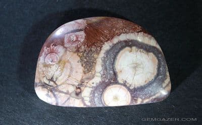 Orbicular Rhyolite cabochon, Australia.  29.35 carats.