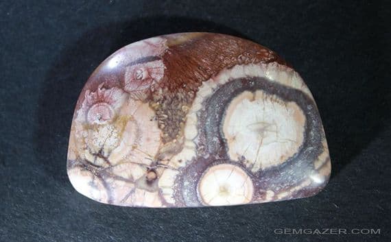 Orbicular Rhyolite cabochon, Australia.  29.35 carats.