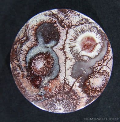 Orbicular Rhyolite cabochon, Mexico.  44.10 carats.