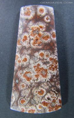 Orbicular Rhyolite cabochon, Mexico. 52.60 caras.