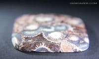 Orbicular Rhyolite cabochon, Mexico.  79.12 carats.