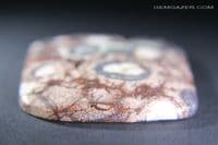 Orbicular Rhyolite cabochon, Mexico.  79.12 carats.