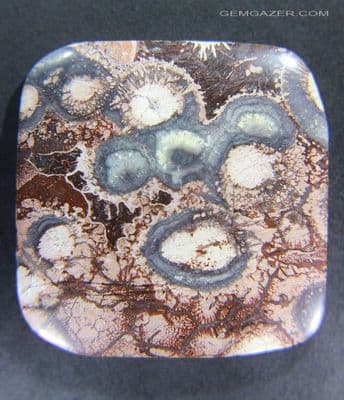 Orbicular Rhyolite cabochon, Mexico.  79.12 carats.