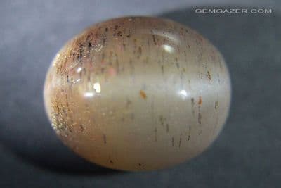 Orthoclase Sunstone-Moonstone Cat's-Eye cabochon, Tanzania. 31.60 carats.