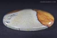 Palomino landscape Rhyolite cabochon, Oregon, USA.  44.24 carats.