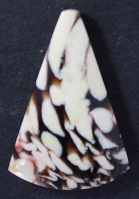 Petrified Teredo Wood cabochon, aka Peanut Wood,  Australia.  15.90 carats.