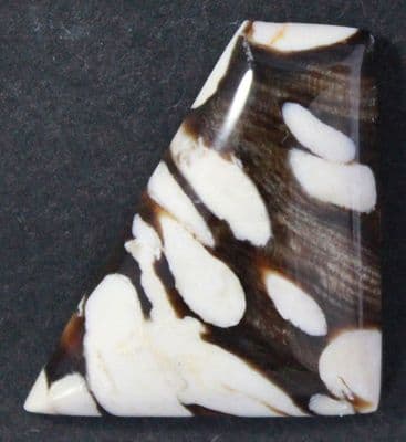 Petrified Teredo Wood cabochon, aka Peanut Wood,  Australia.   18.31 carats.