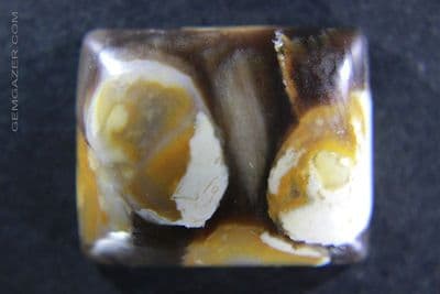 Petrified Teredo wood cabochon, aka 'Peanut Wood', Australia.  39.68 carats.