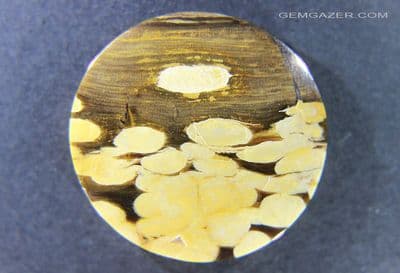 Petrified Teredo Wood cabochon, aka Peanut Wood, Australia.  65.46 carats.