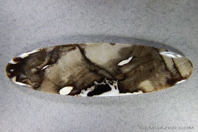 Petrified Teredo Wood cabochon, aka Peanut Wood. Australia.  57.93 carats.