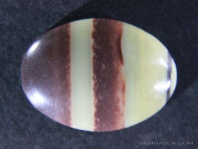 Petrified Wood cabochon, China.  27.86 carats.