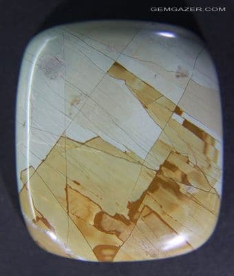 Pietra Paesina landscape Marble cabochon, Italy.  77.72 carats.