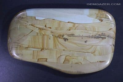 Pietra Paesina landscape Marble cabochon, Italy.  84.24 grams.