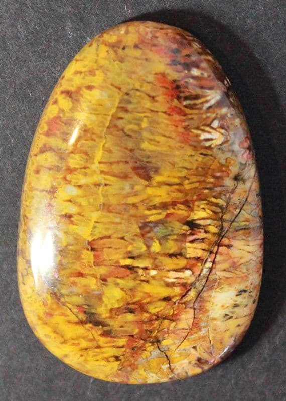 Plume Agate cabochon, Mexico.  51.72 carats.