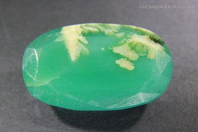 Plume Chalcedony, faceted, Mozambique. 30.62 carats.