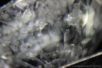 Pollucite with Polylithionite inclusions, faceted, Pakistan.  1.31 carats.