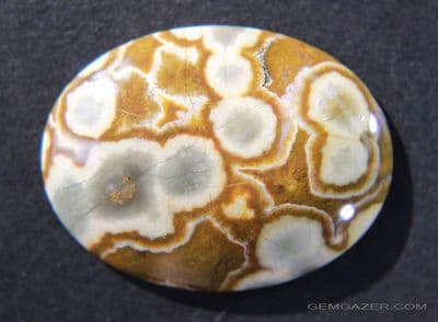 Poppy Jasper cabochon, Madagascar.  53.65 carats.