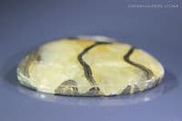 Pyritised Ammonite Fossil cabochon, Dorset, UK. 15.66 carats.